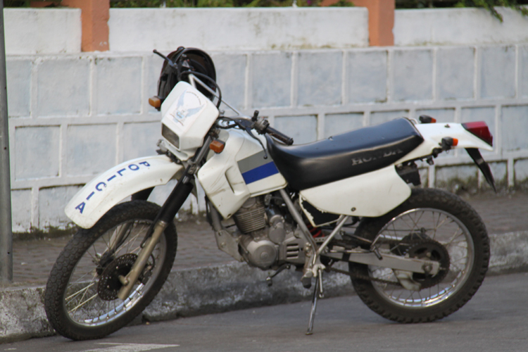 Ecuador 2009. Foto: P. Doets